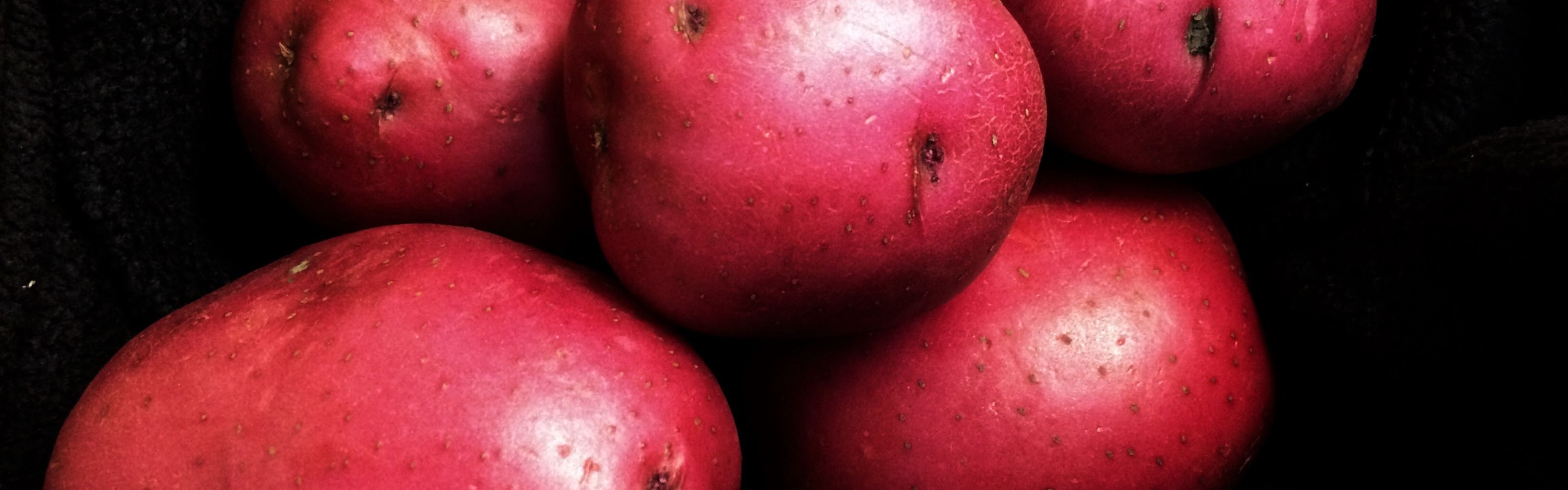 Red Potatoes By NoKota Packers